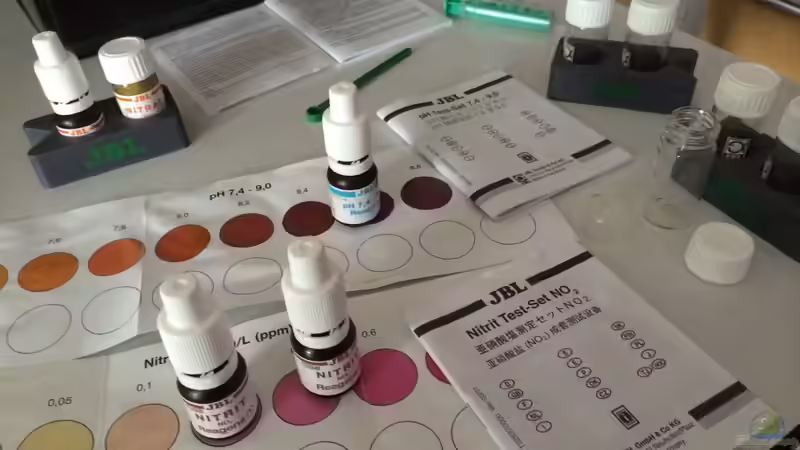 Technik im Aquarium i love leaves ! von Ayahuasca (164)