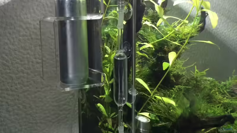 Technik im Aquarium i love leaves ! von Ayahuasca (169)