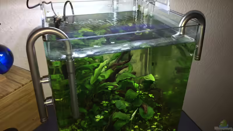 Technik im Aquarium i love stones, again ! von Ayahuasca (14)