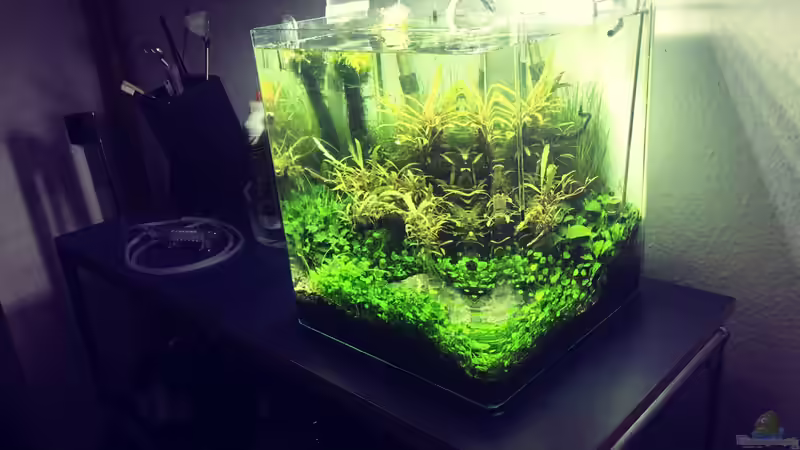 Technik im Aquarium i love stones, again ! von Ayahuasca (18)