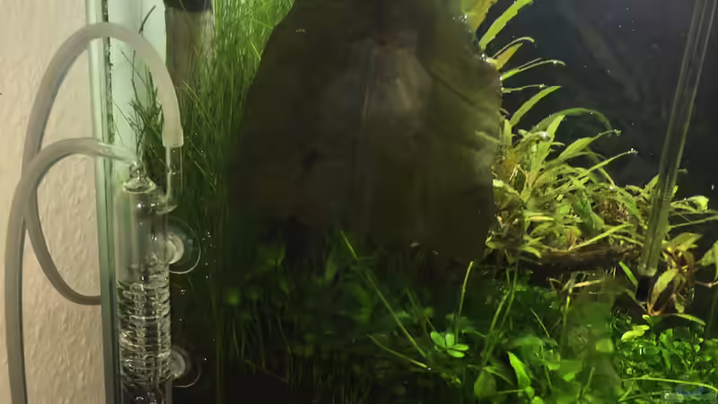 Technik im Aquarium i love stones, again ! von Ayahuasca (21)