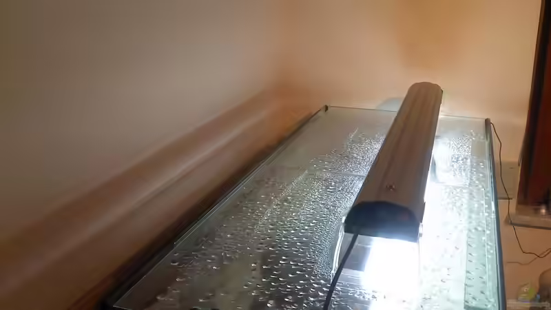 Technik im Aquarium It´s Mbuna time von Andre@ (7)