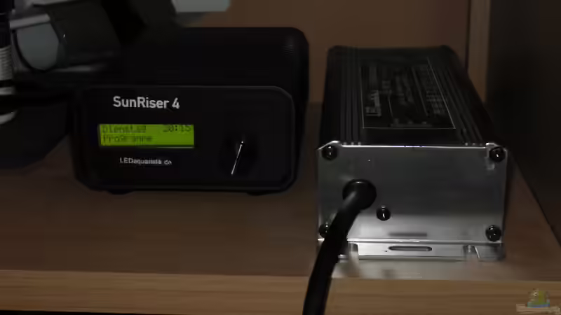 Technik im Aquarium Juwel 260 vision von Bäumchen (12)