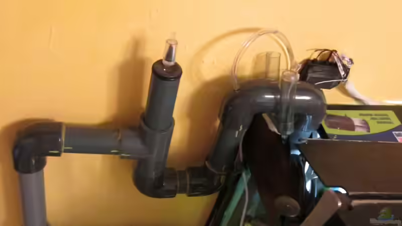 Technik im Aquarium JUWEL DISKUS AMAZONAS von Rene Zwirchmayr (21)