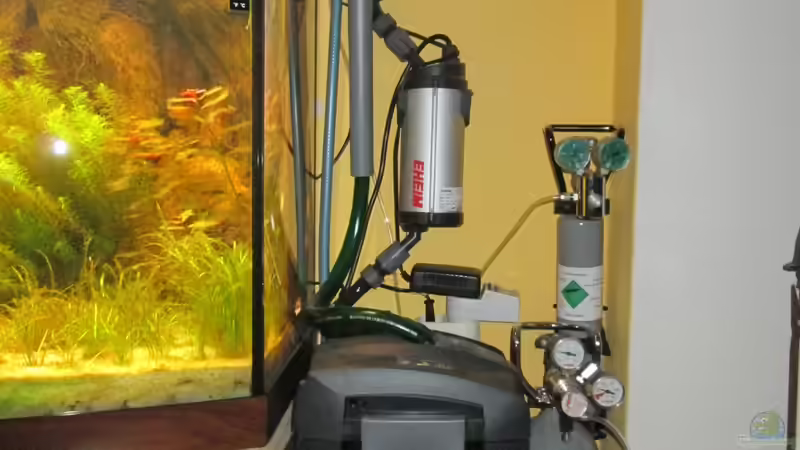 Technik im Aquarium JUWEL DISKUS AMAZONAS von Rene Zwirchmayr (24)