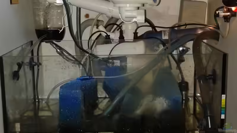 Technik im Aquarium JUWEL DISKUS AMAZONAS von Rene Zwirchmayr (26)