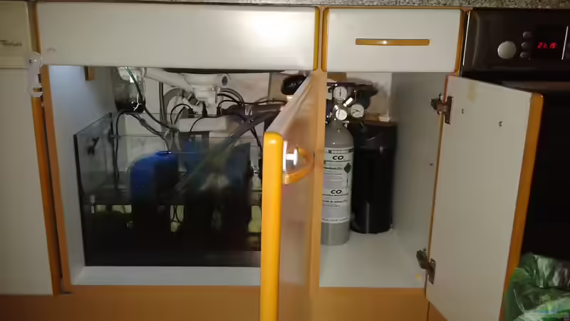 Technik im Aquarium JUWEL DISKUS AMAZONAS von Rene Zwirchmayr (28)