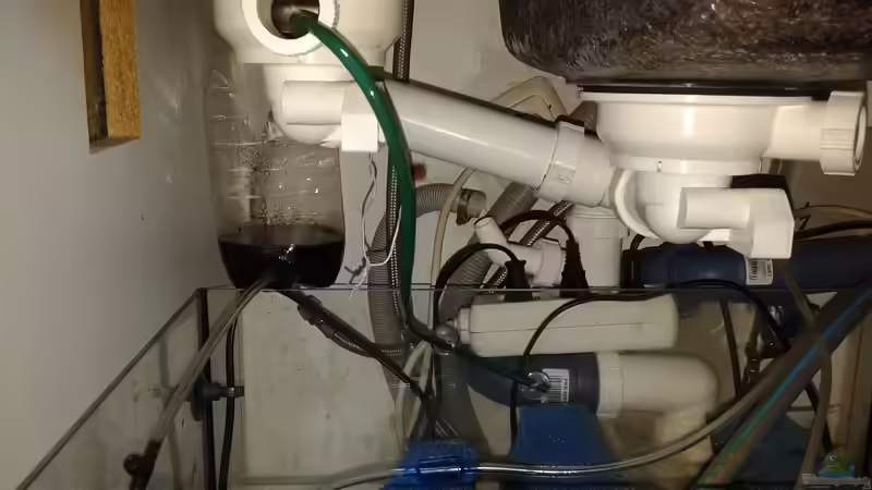 Technik im Aquarium JUWEL DISKUS AMAZONAS von Rene Zwirchmayr (29)