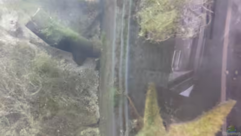 Technik im Aquarium JUWEL Rekord 700 von DirtyD. (13)