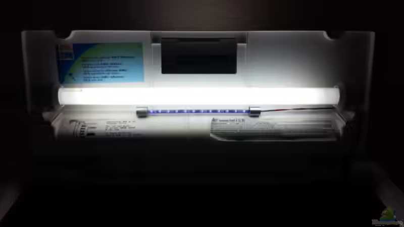 Technik im Aquarium JUWEL Rekord 700 von DirtyD. (14)