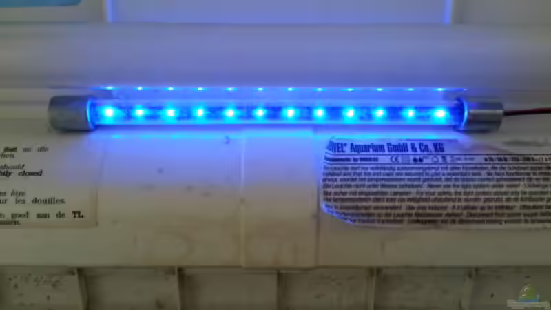 Technik im Aquarium JUWEL Rekord 700 von DirtyD. (15)