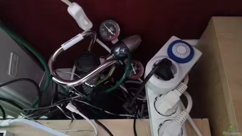 Technik im Aquarium Juwel RIO 125 von aquaristikman (16)