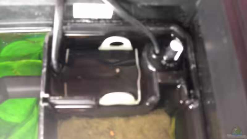 Technik im Aquarium Juwel Rio 180 von Lollipop (26)