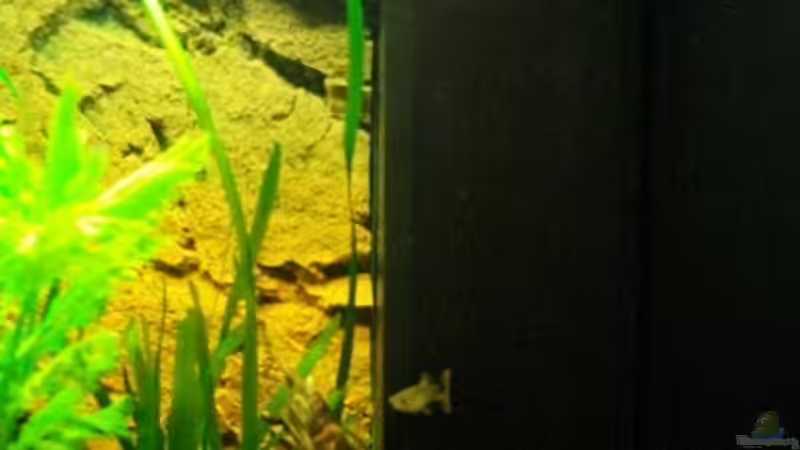 Technik im Aquarium Juwel Rio 180 von Stefan Hille (6)