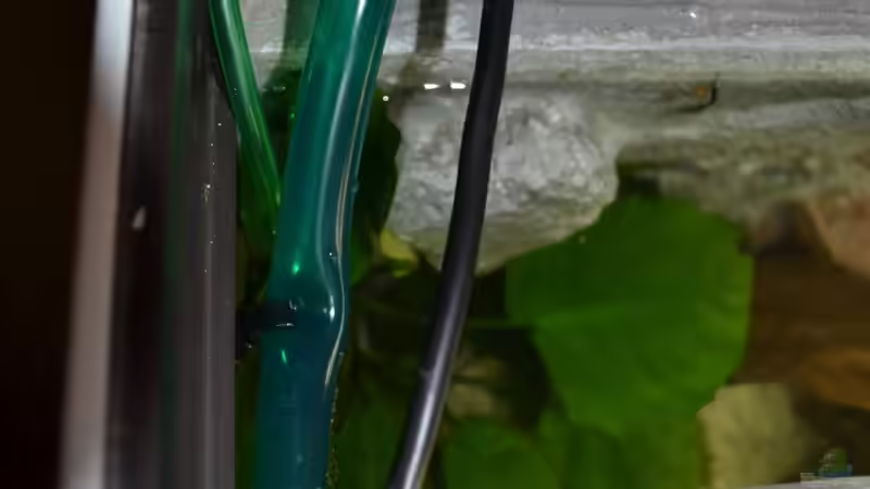 Technik im Aquarium Juwel Rio 180 von Steve (17)