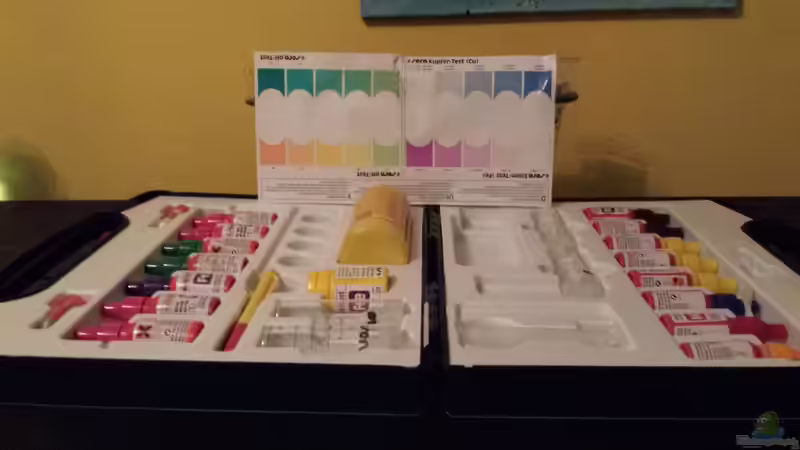 Technik im Aquarium Juwel Rio 240 Malawi von benjamin (14)