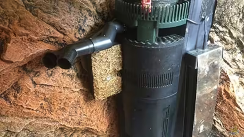 Technik im Aquarium Juwel Trigon 190 &quot;MALAVI&quot; CW von Christian Wiederanders (33)