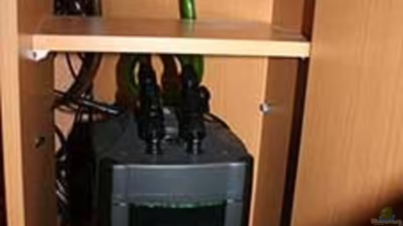 Technik im Aquarium Juwel Trigon 190 &quot;MALAVI&quot; CW von Christian Wiederanders (37)