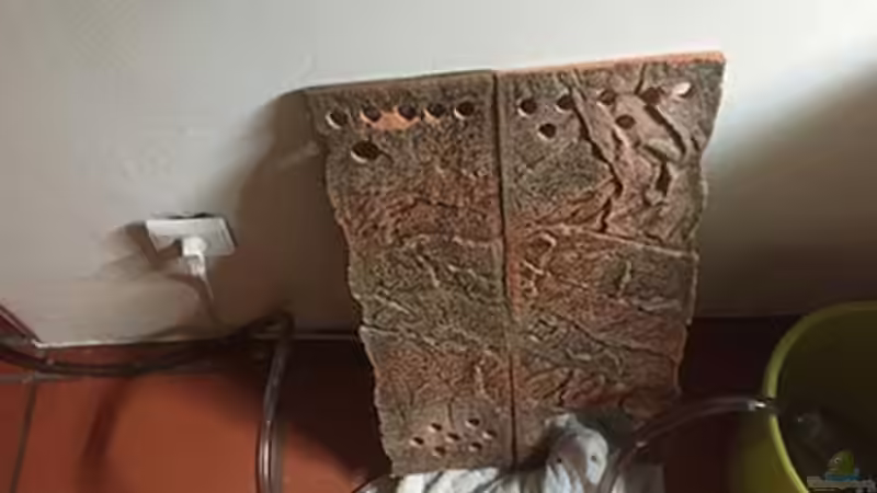 Technik im Aquarium Juwel Trigon 190 &quot;MALAVI&quot; CW von Christian Wiederanders (39)