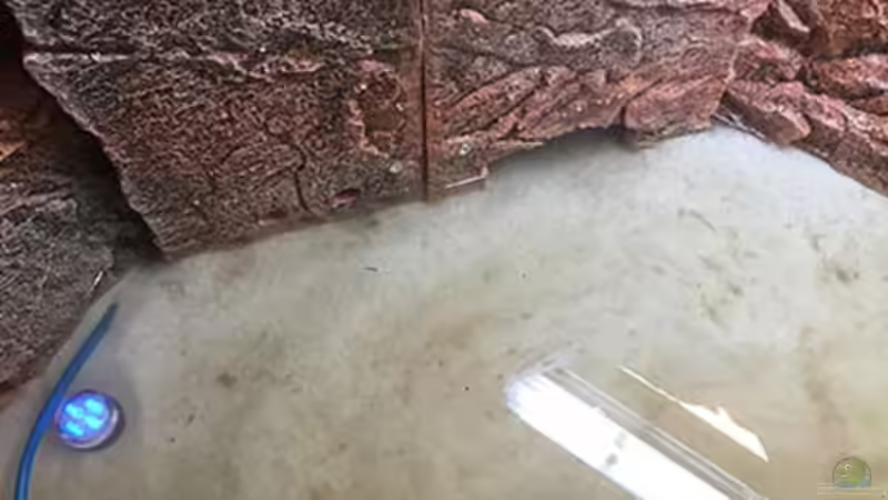 Technik im Aquarium Juwel Trigon 190 &quot;MALAVI&quot; CW von Christian Wiederanders (40)