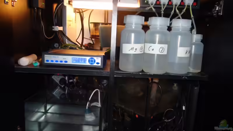 Technik im Aquarium Juwel Trigon 350 von Jens Mühlenbeck (22)
