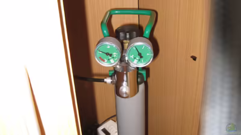 Technik im Aquarium Juwel von Tiger Fisch (6)