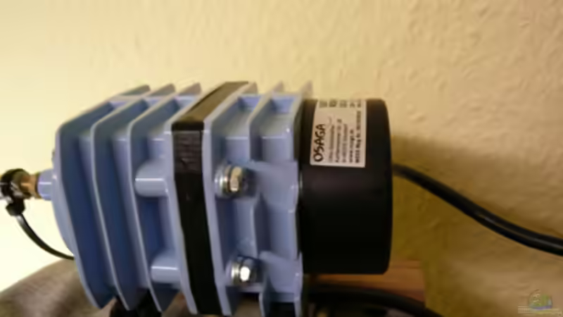 Technik im Aquarium Kakadus von Cichlid Power (23)