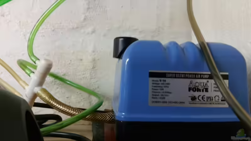 Technik im Aquarium Kap Lopez Castle von foxi (10)