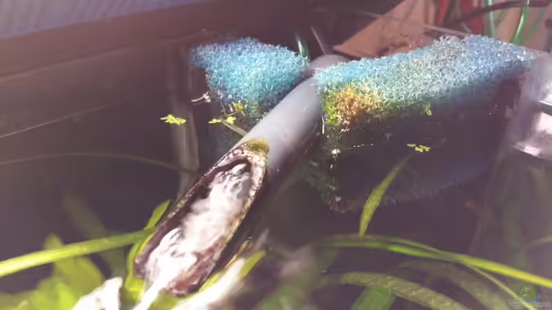 Technik im Aquarium Kap Lopez Castle von foxi (11)