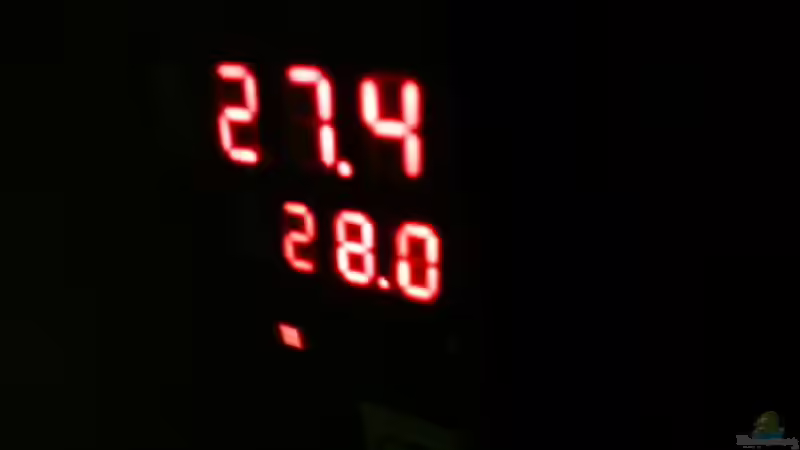 Technik im Aquarium Kellerbecken von Cichlid Power (58)