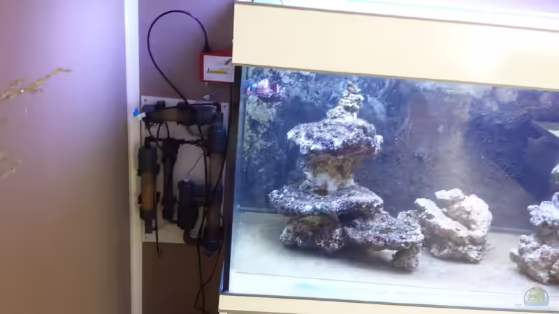 Technik im Aquarium Kevin&#039;s Riff von Kevin78 (3)