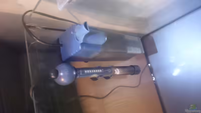 Technik im Aquarium Kiesgrube von Z to the osel (9)