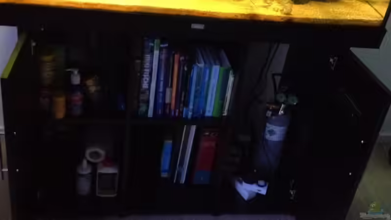 Technik im Aquarium Klassisches Gesellschaftsaquarium von Hage81 (18)