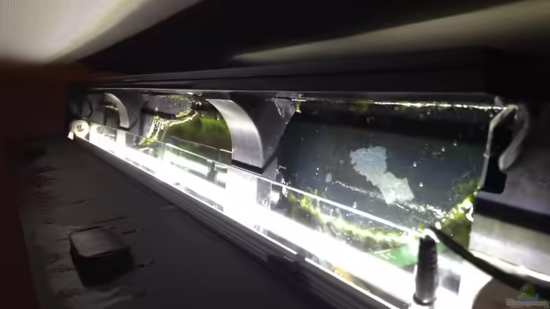 Technik im Aquarium Klassisches Gesellschaftsaquarium von Hage81 (19)