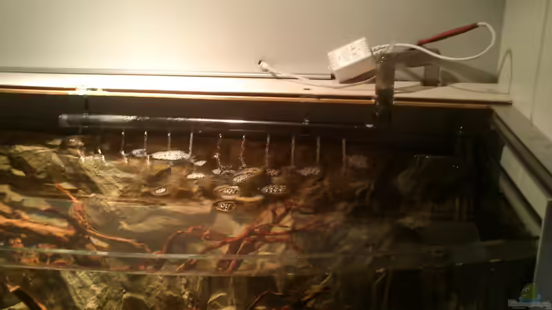 Technik im Aquarium klein aber fein von Kai Kern (9)