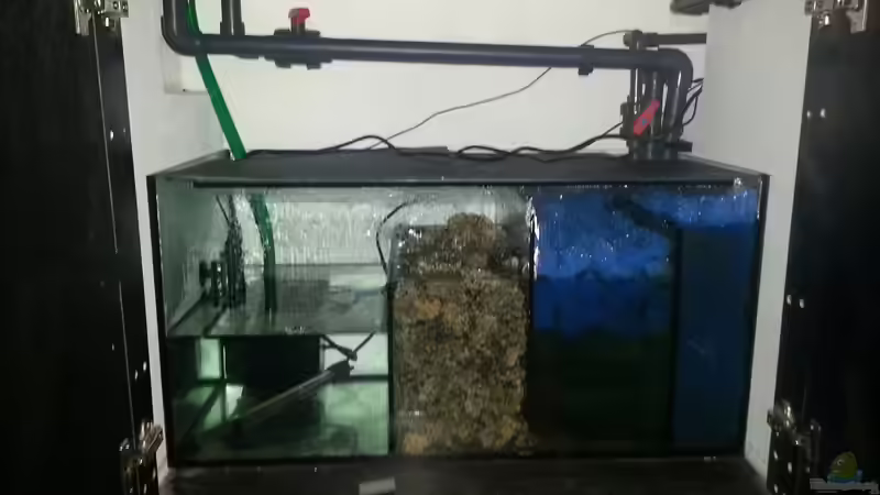 Technik im Aquarium Klein Malawi in  - Nur noch als Beispiel von tripledad (21)