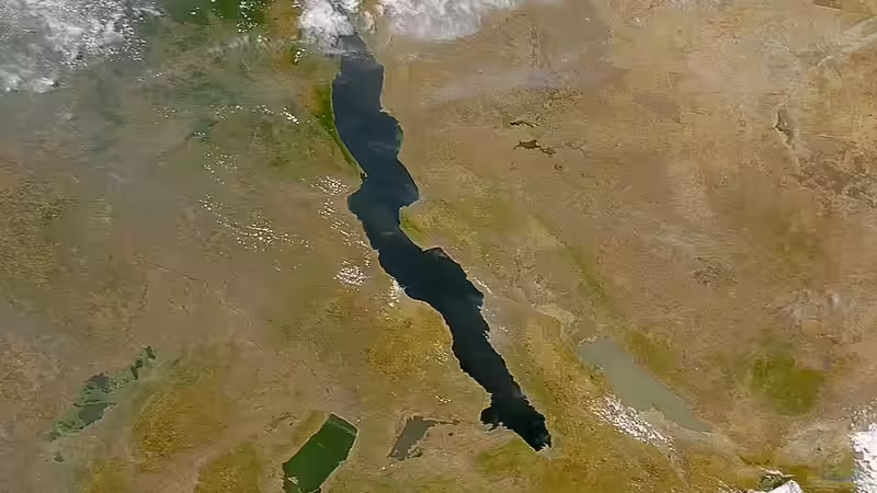 Technik im Aquarium kleine Barsche von Chris_R. (26)