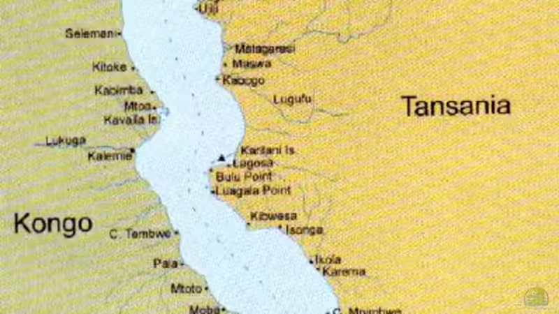 Technik im Aquarium kleine Barsche von Chris_R. (28)