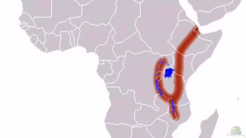 Technik im Aquarium kleine Barsche von Chris_R. (29)