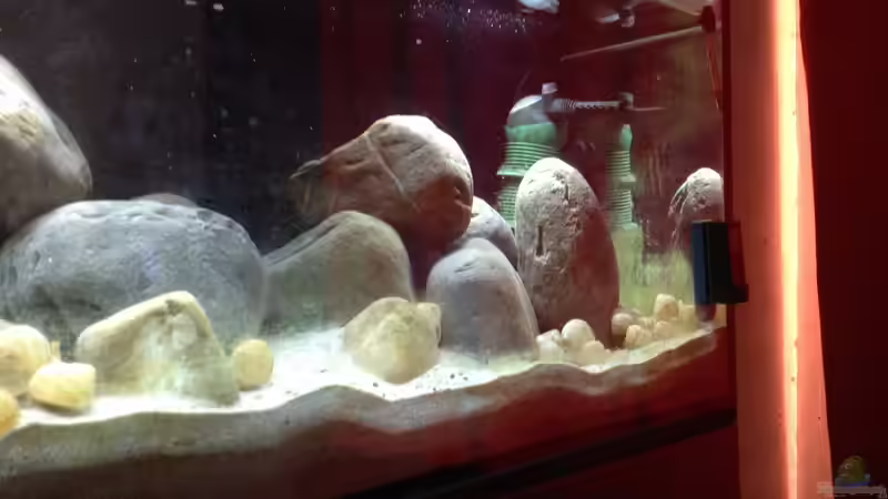 Technik im Aquarium Kleiner Tanganjikasee von jules (16)