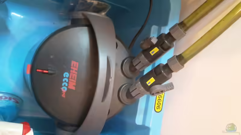 Technik im Aquarium Kleines Gesellschaftsbecken von rams (13)