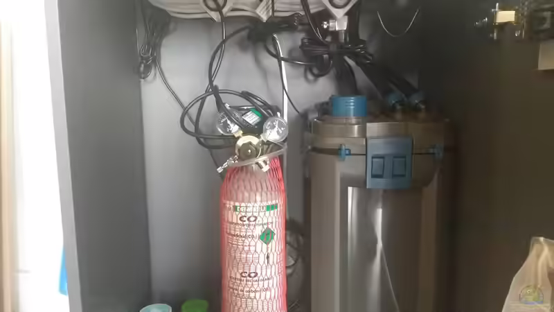 Technik im Aquarium kleines Schwarzwasser von CzudemP (17)