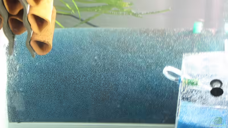 Technik im Aquarium Kleines Südamerika von Panda (8)