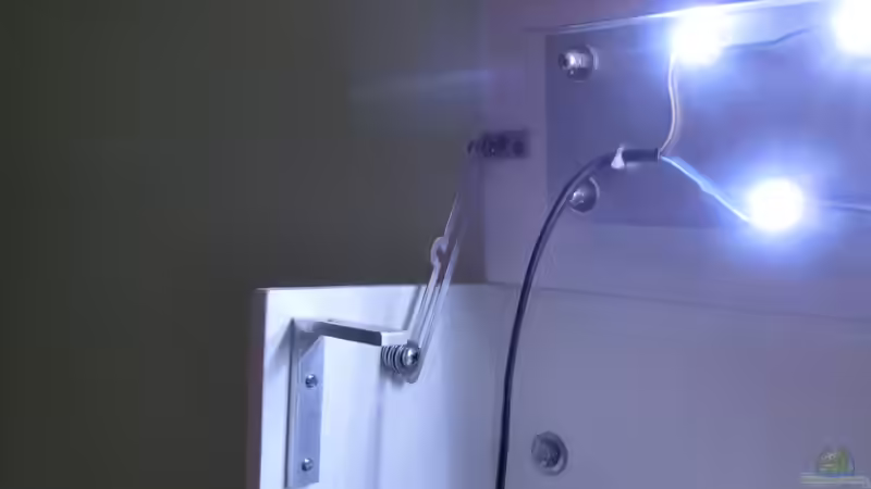 Technik im Aquarium Küchen Flatscreen Wandaquarium aufgelöst von The BugZ (22)