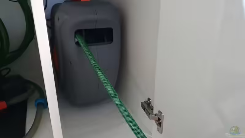 Technik im Aquarium Kugelfisch Brackwasser von Benkolo (11)