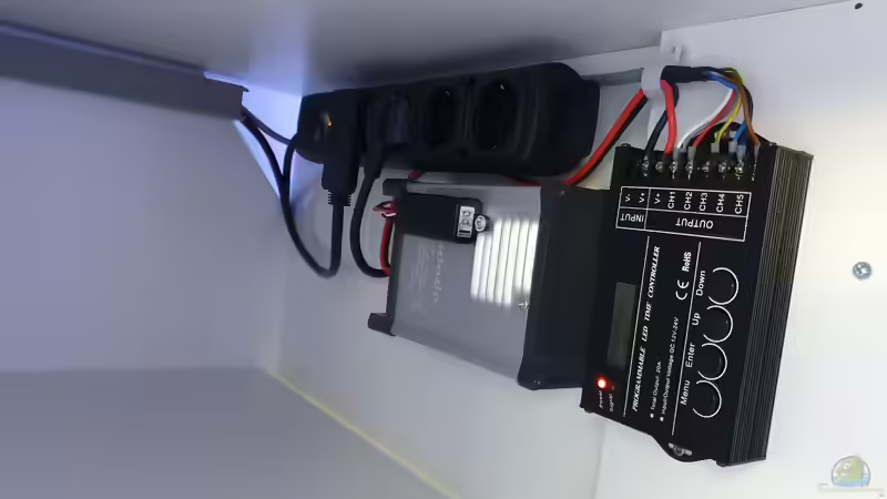 Technik im Aquarium Kugelfisch Brackwasser von Benkolo (13)