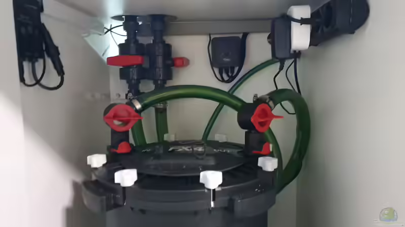 Technik im Aquarium Kugelfisch Brackwasser von Benkolo (14)