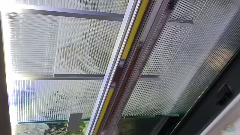 Technik im Aquarium Kugelfisch Brackwasser von Benkolo (16)