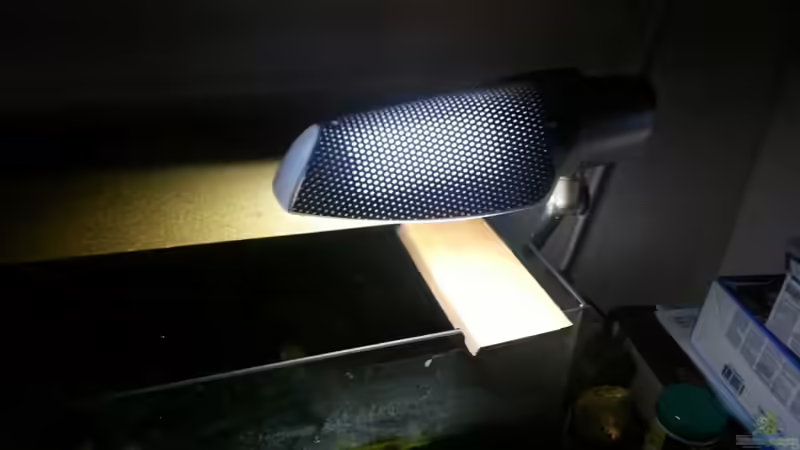 Technik im Aquarium Kunterbuntes Kampffischbecken von Pascal Quellbrunn (8)