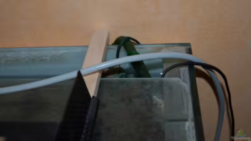 Technik im Aquarium L 201 von Cichlid Power (11)